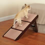 The Pet Ramp And Staircase.