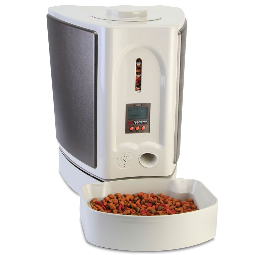 automatic dog feeder with collar sensor