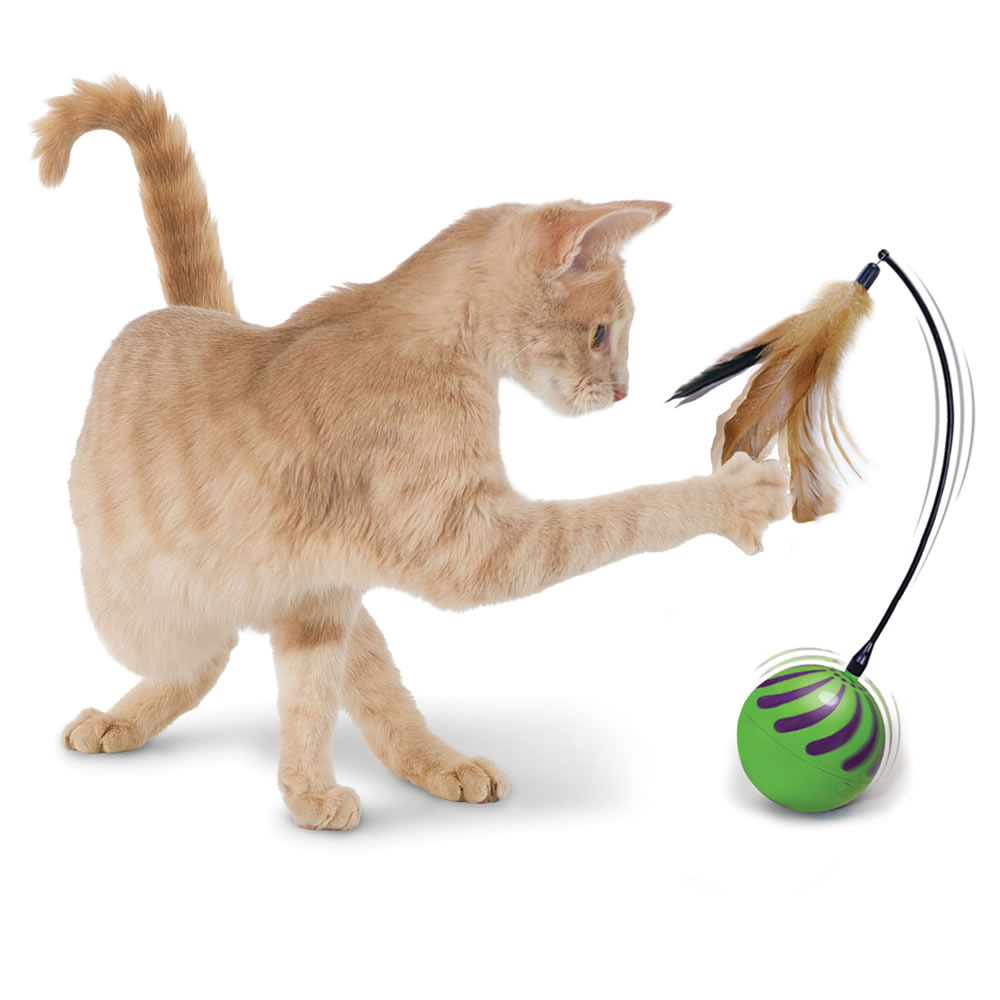 figure 8 cat toy