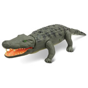 RC Snapping Crocodile.