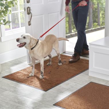 The Dirt Trapping Indoor Mat