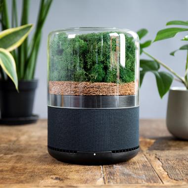 The Plant Based Air Purifier