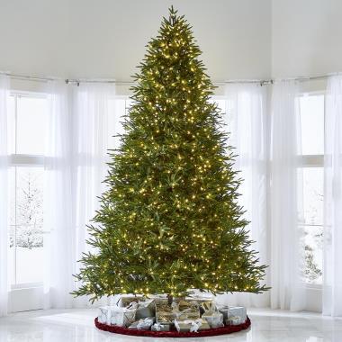 The World's Best Prelit Fraser Fir (12' Full LED)