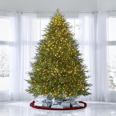 The World's Best Prelit Fraser Fir (9.5' Full LED)