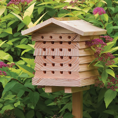 The British Horticulturist Bee House