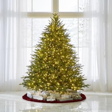 The World's Best Prelit Fraser Fir (6.5' Full LED)