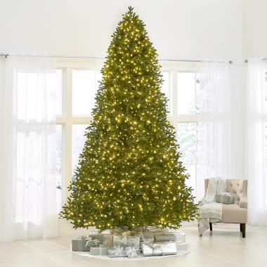 The World's Best Prelit LED Noble Fir (12' Full)