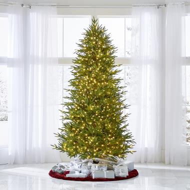 The World's Best Prelit Fraser Fir (8.5' Slim LED)