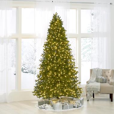 The World's Best Prelit LED Noble Fir (8.5' Slim)