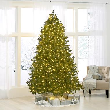The World's Best Prelit LED Noble Fir (8.5' Medium)