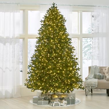 The World's Best Prelit LED Noble Fir (9.5' Medium)