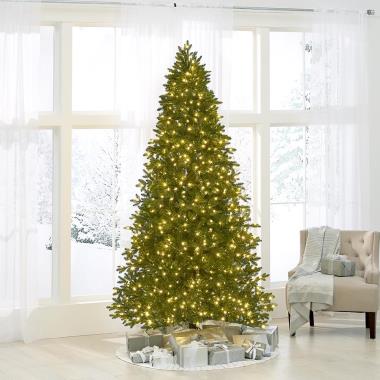 The World's Best Prelit Incandescent Noble Fir (8.5' Slim)