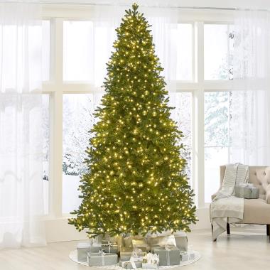 The World's Best Prelit Incandescent Noble Fir (9.5' Slim)