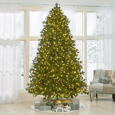The World's Best Prelit Incandescent Noble Fir (9.5' Medium)