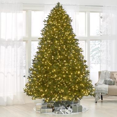 The World's Best Prelit Incandescent Noble Fir (9.5' Full)