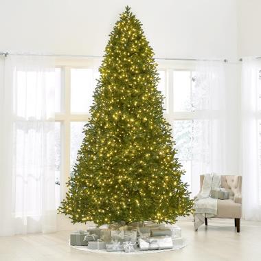 The World's Best Prelit Incandescent Noble Fir (12' Full)