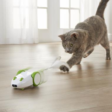 The Cat's Robotic Toy Mouse