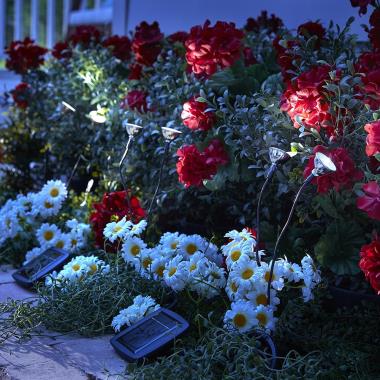 The Bloom Illuminating Solar Light