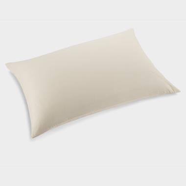 The Sanitizing Pillowcase