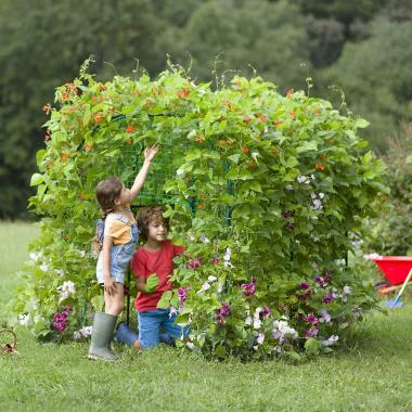 The Children's Growing Garden Fort