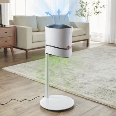 The Air Cleaning Ionizing Fan