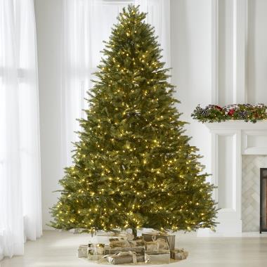 The World's Best Prelit Concolor Fir (8.5' Full LED)