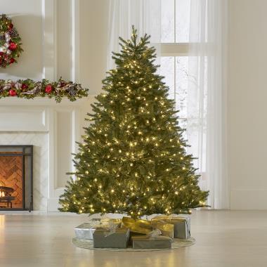The World's Best Prelit Concolor Fir (6.5' Full LED)