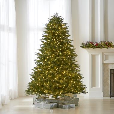 The World's Best Prelit Concolor Fir (7.5' Full LED)
