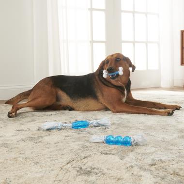 The Breath Freshening Dental Chew Toys