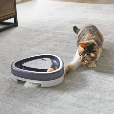 The Bird Chirping And Feather Cat Toy