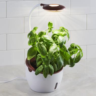 The Grow Light Planter
