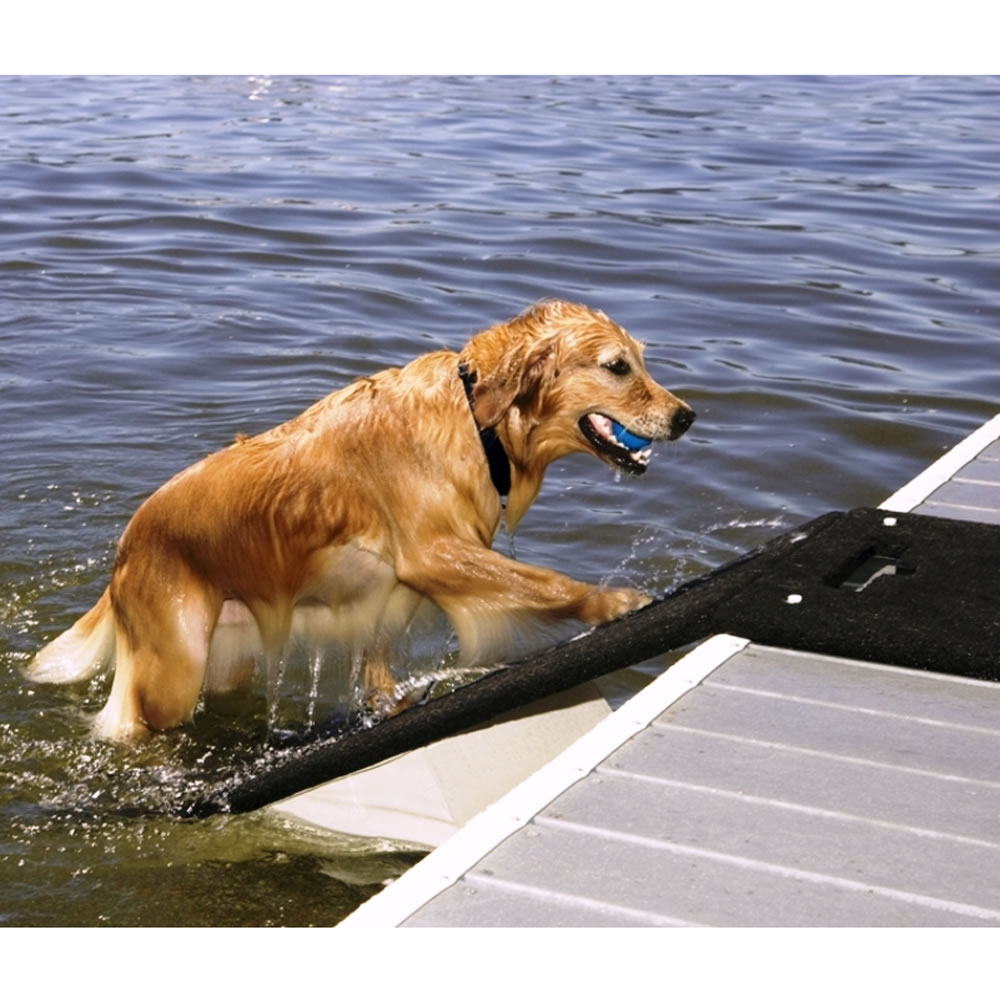 The Floating Dog Dock - Hammacher Schlemmer
