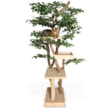 The Feline Tree House