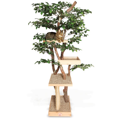 The Feline Tree House