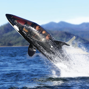 The Killer Whale Submarine - Hammacher Schlemmer