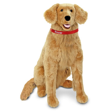 The Child's Own Personalized Pet (Golden Retriever)