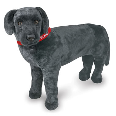 The Child's Own Personalized Pet (Black Lab)
