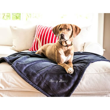 Your Pet's Personalized Plush Blanket