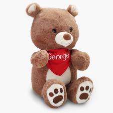 The Personalized Head, Shoulders, Knees, and Toes Animated Bear