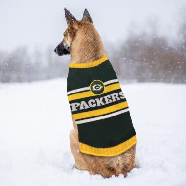 The Tailgating Dog's NFL Sweater