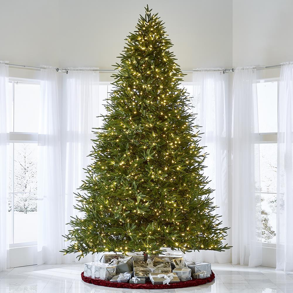 World's Best Prelit Fraser Fir - 12' Full LED - White Christmas Tree
