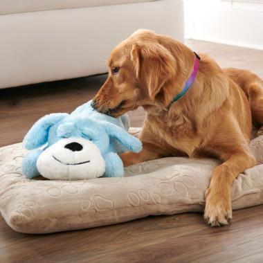 Calm Paws Dog Anti-Anxiety Plush Buddy