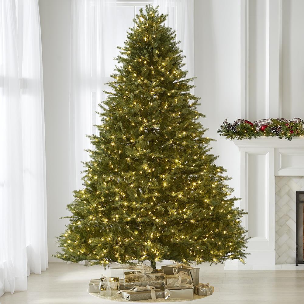 World's Best Prelit Concolor Fir - 8.5' Full LED - White Christmas Tree
