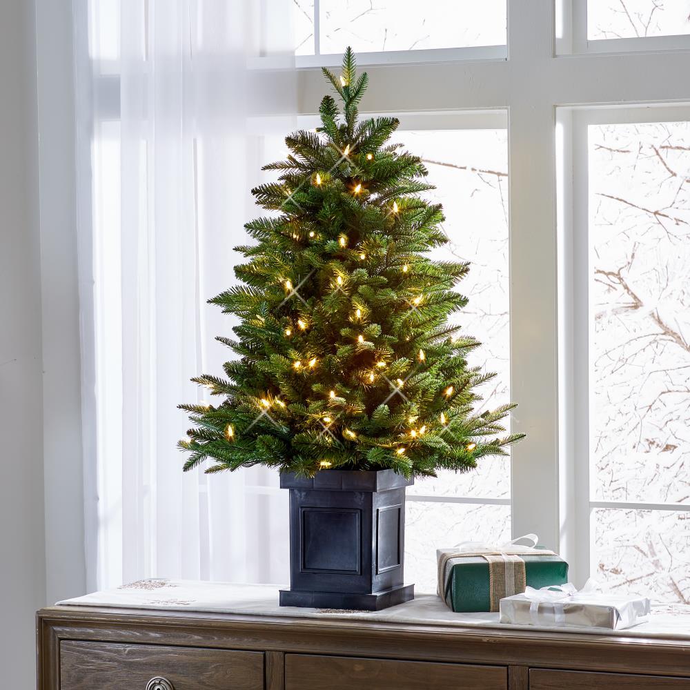 World's Best Tabletop Prelit Fraser Fir - White Christmas Tree