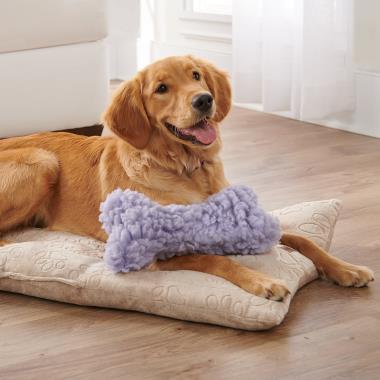 The Calming Dog Toy