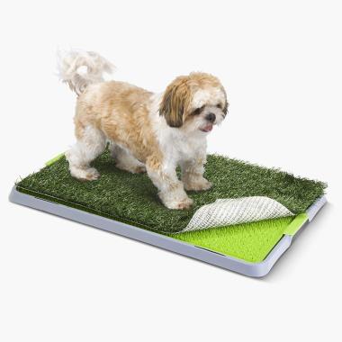 Indoor dog best sale toilet tray