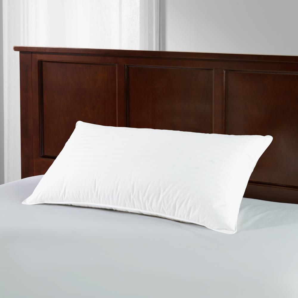European Down Layered Luxury Pillow - King - White