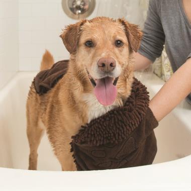 The 8X Absorbent Dog Drying Towel