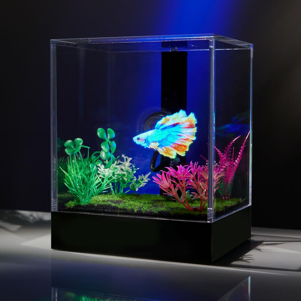 The Hologram Fish Tank