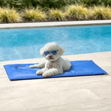 The Instant Cooling Pet Mat (Large)